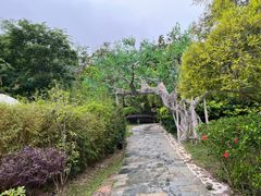 -十万大山布透温泉