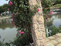 -鹅湖玫瑰文化园
