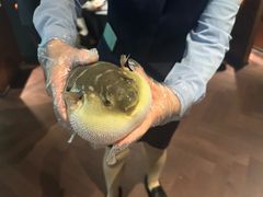 -肆月河豚·淮扬菜·湘菜(华天店)