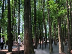 -东湖落雁景区