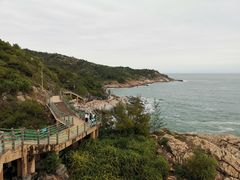 -广东惠东海龟国家级自然保护区
