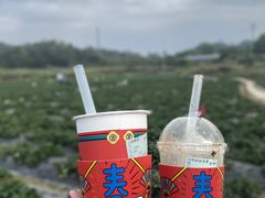 -古茗(揭西新东路店)