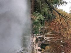 -郑州植物园