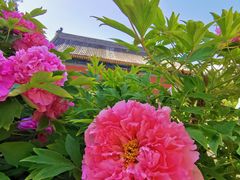 -大钟寺古钟博物馆