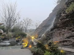-雅苑中餐厅