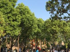 -嘉北郊野公园北游客中心-地上停车场
