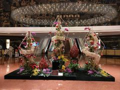 -中国大酒店·食街