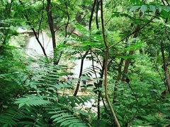 -碓臼峪自然风景区