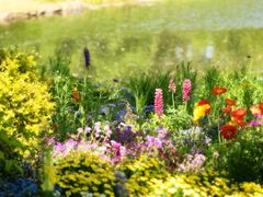 -上海共青森林公园