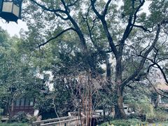 -复旦大学附属华山医院(总院)