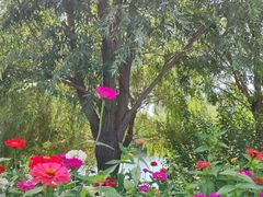 -长春公园(普阳街道)