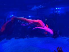 -成都浩海立方海洋公园