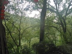 -丰都鬼城名山景区