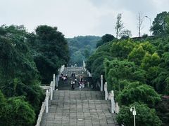 -铁山坪森林公园