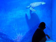 -鄂尔多斯野生动物园