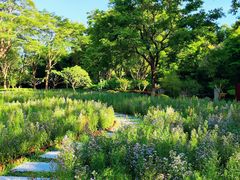 -深圳国际园林花卉博览园