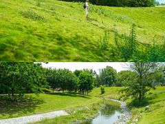 -两河城市森林公园