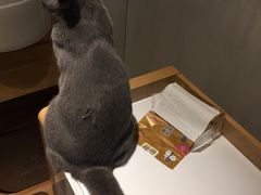-壹人壹像工作室(购物公园店)