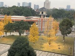 -四川大学(望江校区)