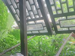 -香满楼(临安路店)