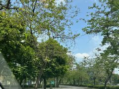 -顺德职业技术大学
