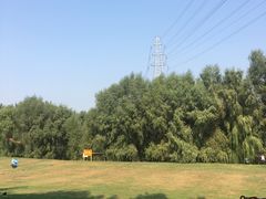 -长白岛森林公园