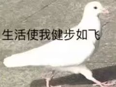 -博纳国际影城成都大悦城IMAX店