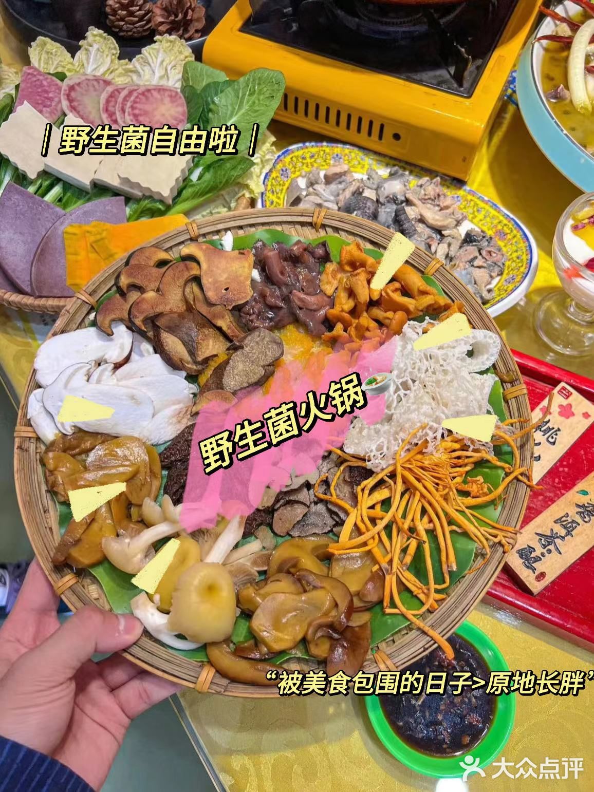 大理老牌餐厅推荐，太多好吃的了