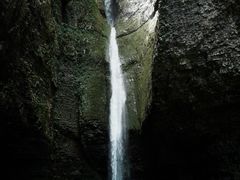 -鹿院坪生态旅游景区