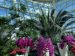-石家庄市植物园