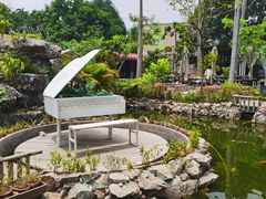 -花溪雨·森林餐厅(石基店)