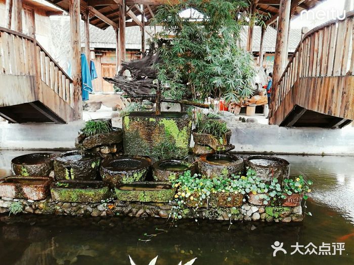 竹里馆农庄-图片-泰顺县美食-大众点评网