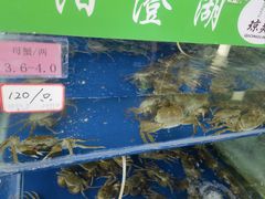 -阳澄湖大闸蟹·琼灵阁牌品牌连锁(吴中总店)