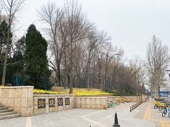 -玲珑塔公园