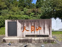 -天目山大树王景区