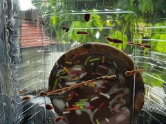 -Belice Chocolate Kingdom