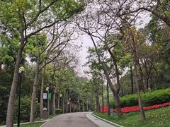 -云溪植物园