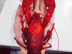-虾弄弄海派小龙虾·牛羊蝎子火锅