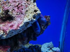 -海合安青岛极地海洋公园