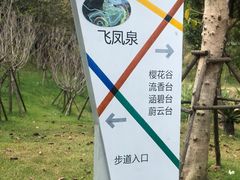 -飞凤山奥体公园