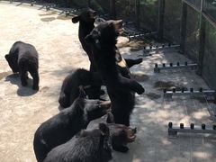 -西安秦岭野生动物园