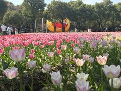 -桔子酒店(上海西藏北路地铁站店)