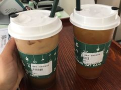 -有猫主题·治愈系猫咖(曾厝垵店)