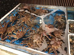 -蟹将军·松叶蟹和牛日料放题自助(K11店)