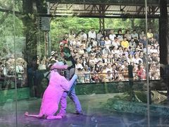 -清迈夜间动物园