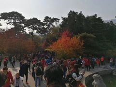 -香山公园-东宫门售票处