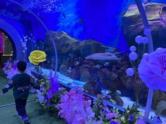 -顺德南宏海立方海洋公园