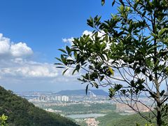 -南海湾森林生态园