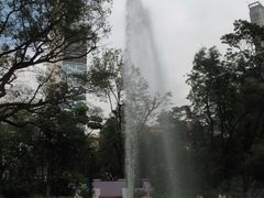 -九龙公园