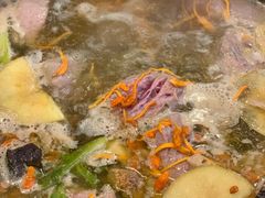 -蜀皇·菌汤鲜黄牛肉汤锅(宽窄巷子店)